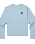 Iceberg