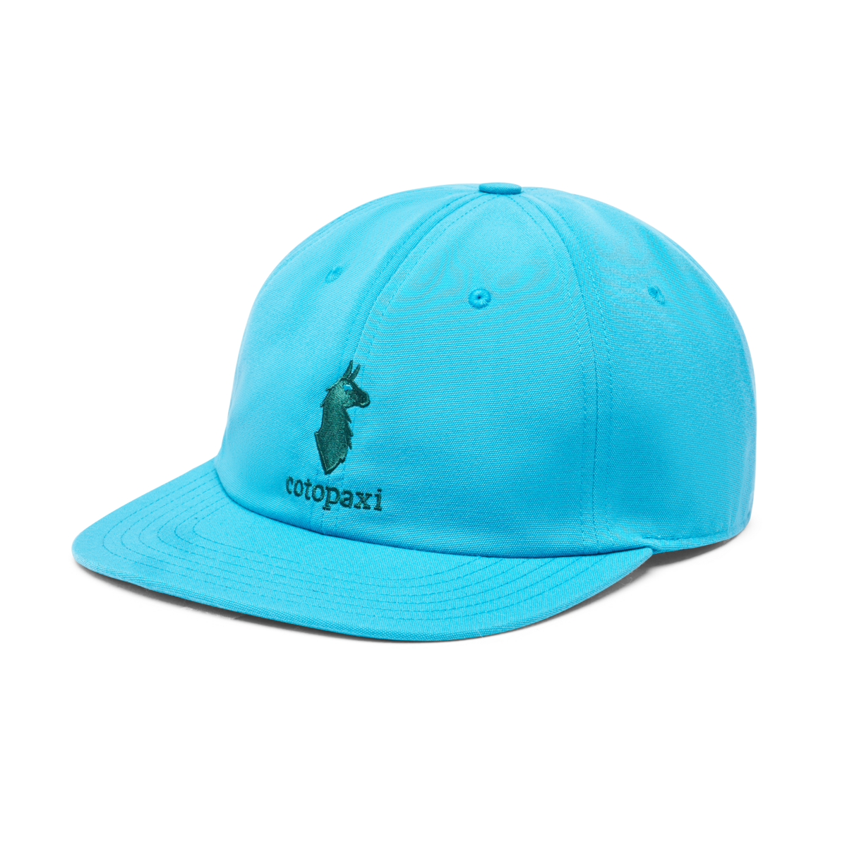 Cotopaxi Dad Hat, Poolside