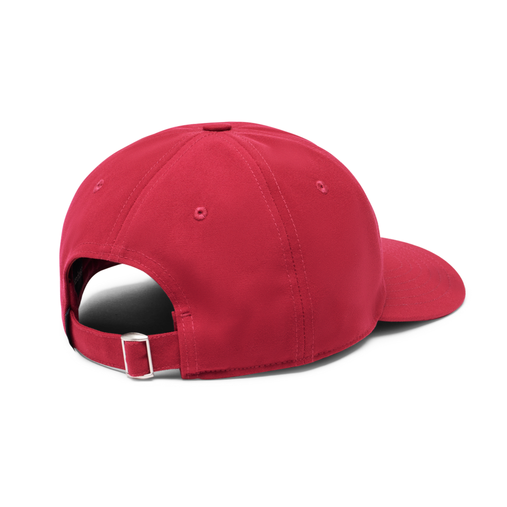 Cotopaxi Dad Hat, Raspberry