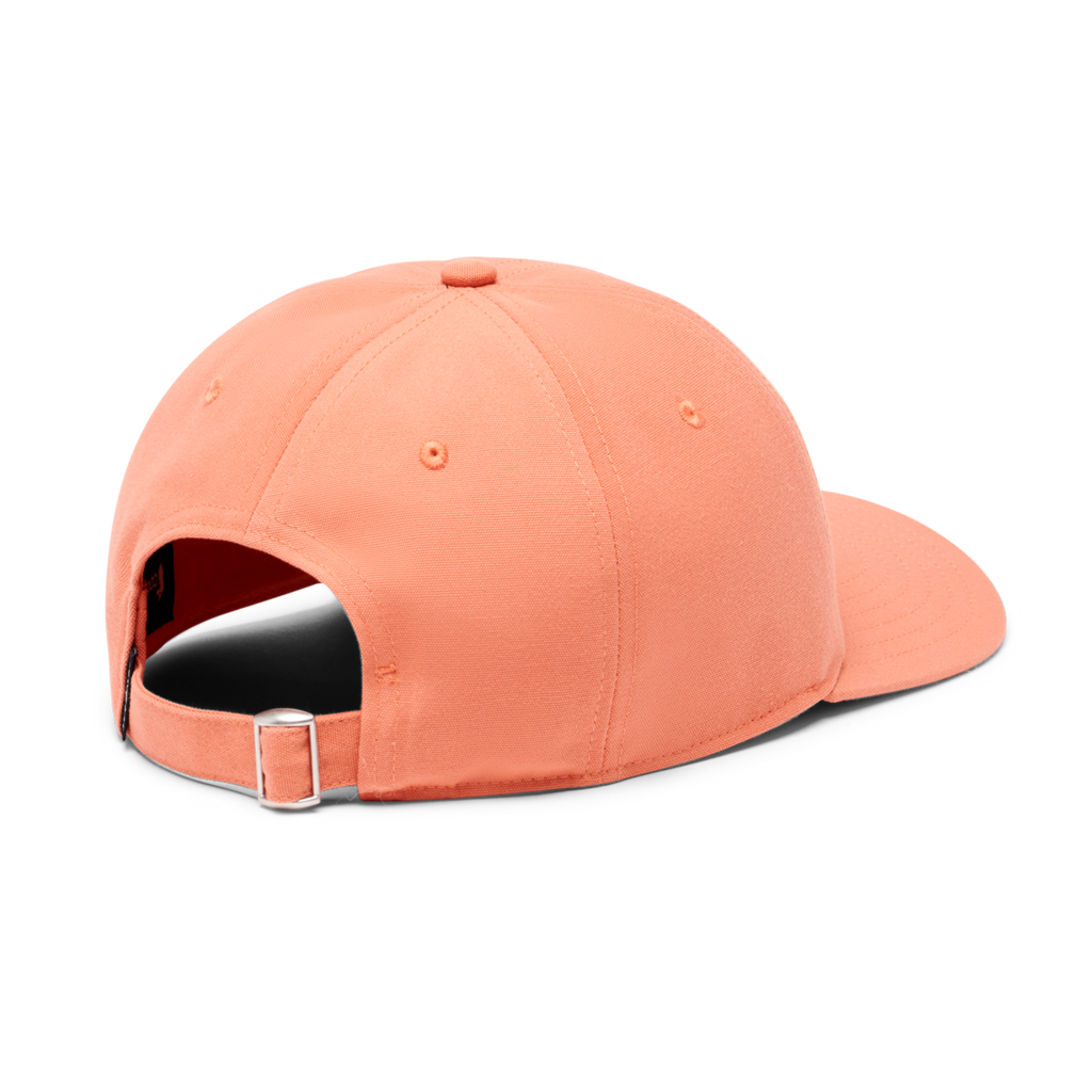Do Good Stripe Dad Hat, Nectar
