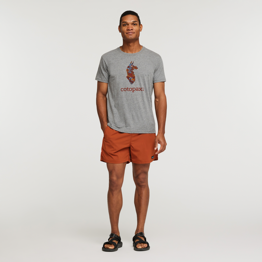 Altitude Llama Organic T-Shirt - Men's, Heather Grey, Model Jason