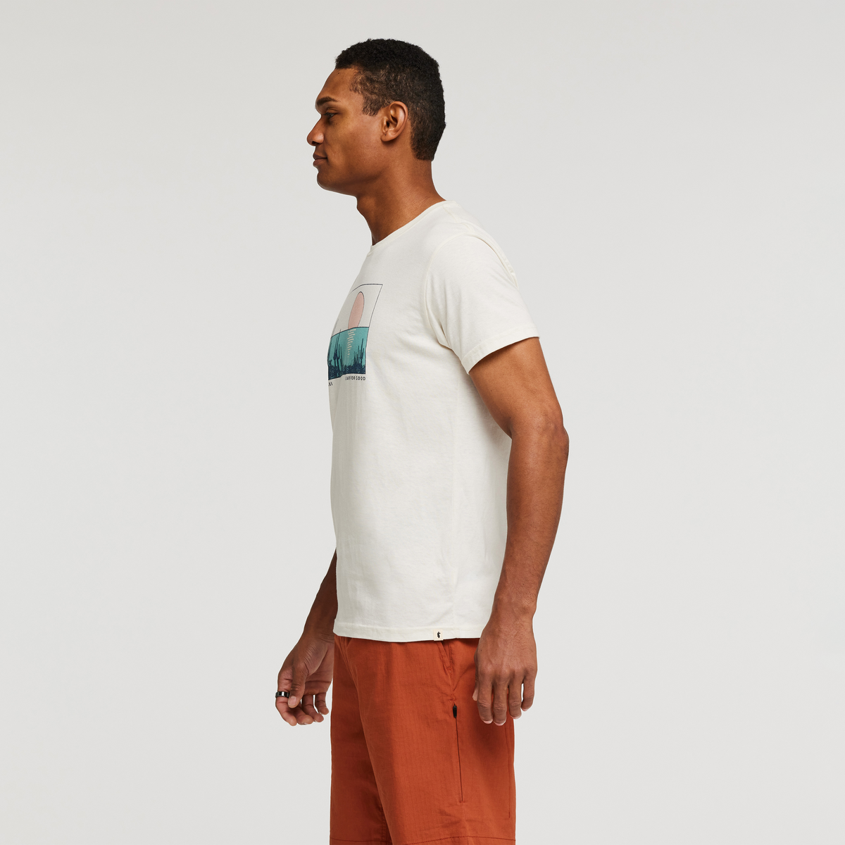 Desert View Organic T-Shirt - Men's, Bone, Model James
