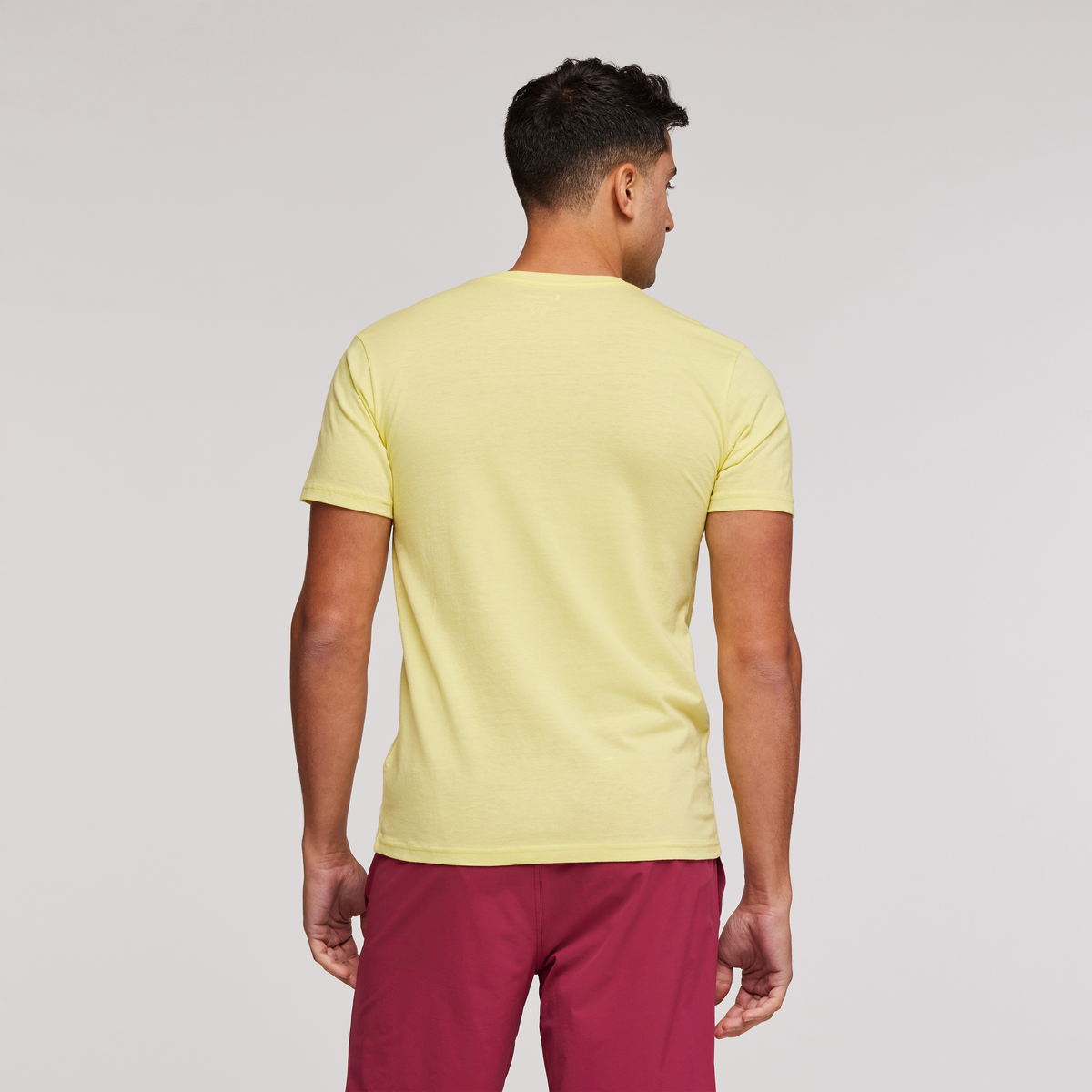 Llama Sequence Organic T-Shirt - Men's, Lemonade, Model Munther