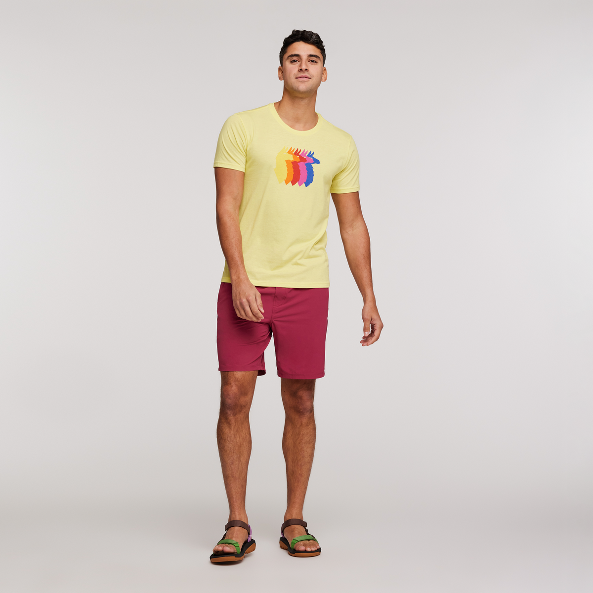 Llama Sequence Organic T-Shirt - Men's, Lemonade, Model Munther