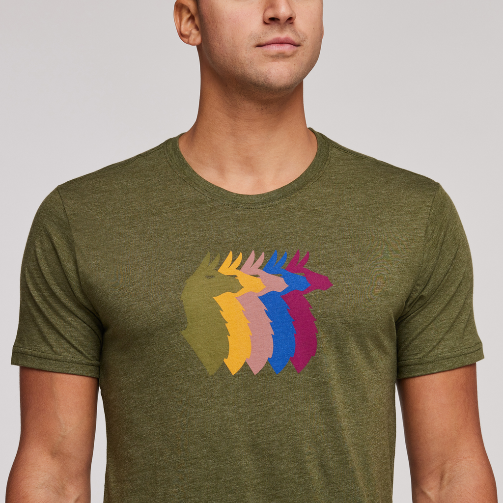 Llama Sequence Organic T-Shirt - Men's, Pine, Model Munther