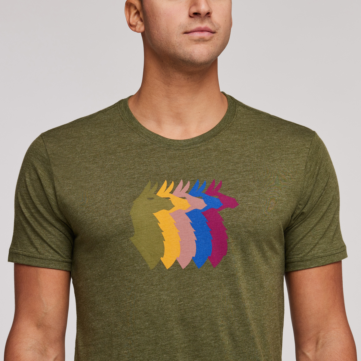 Llama Sequence Organic T-Shirt - Men's, Pine, Model Munther