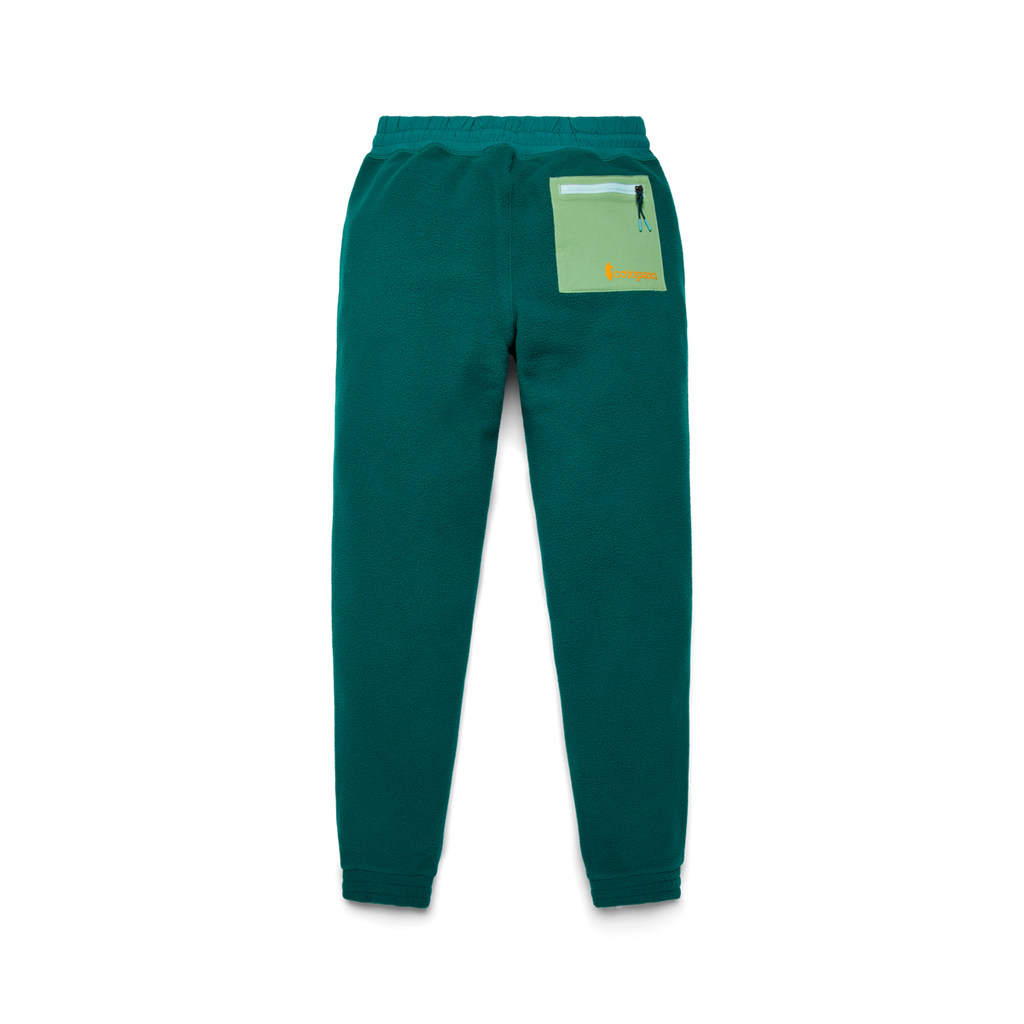 Abrazo Fleece Jogger - Women's, Greenery