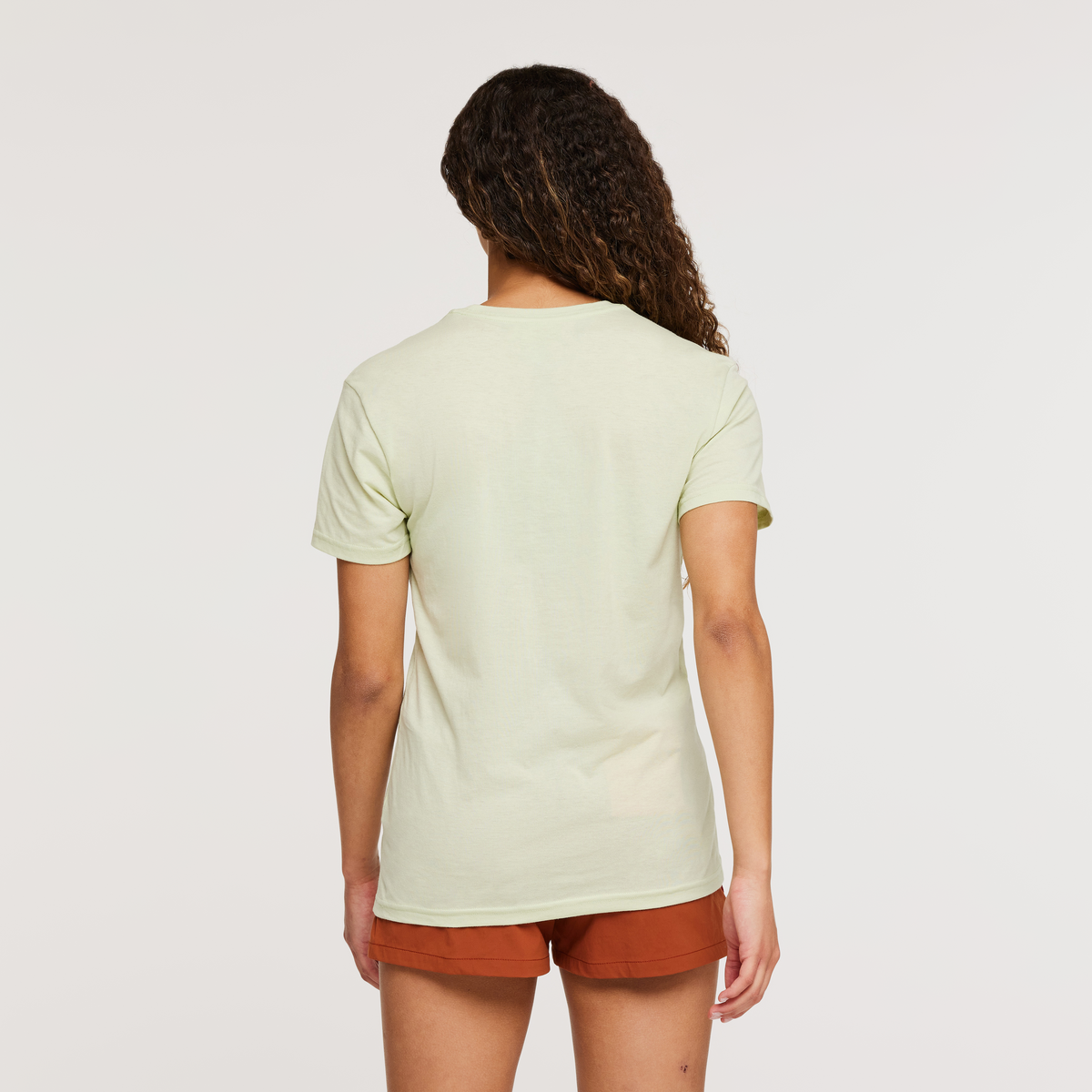 Altitude Llama Organic T-Shirt - Women's, Lichen, Model London