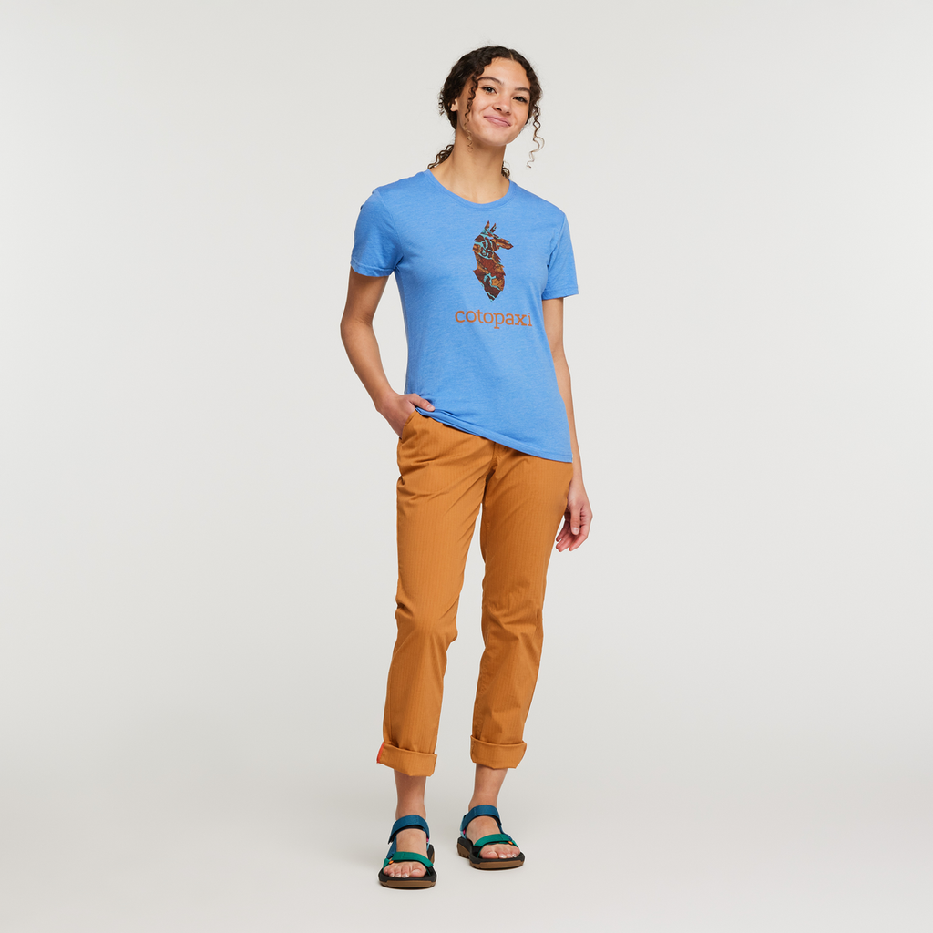 Altitude Llama Organic T-Shirt - Women's, Lupine, Model London