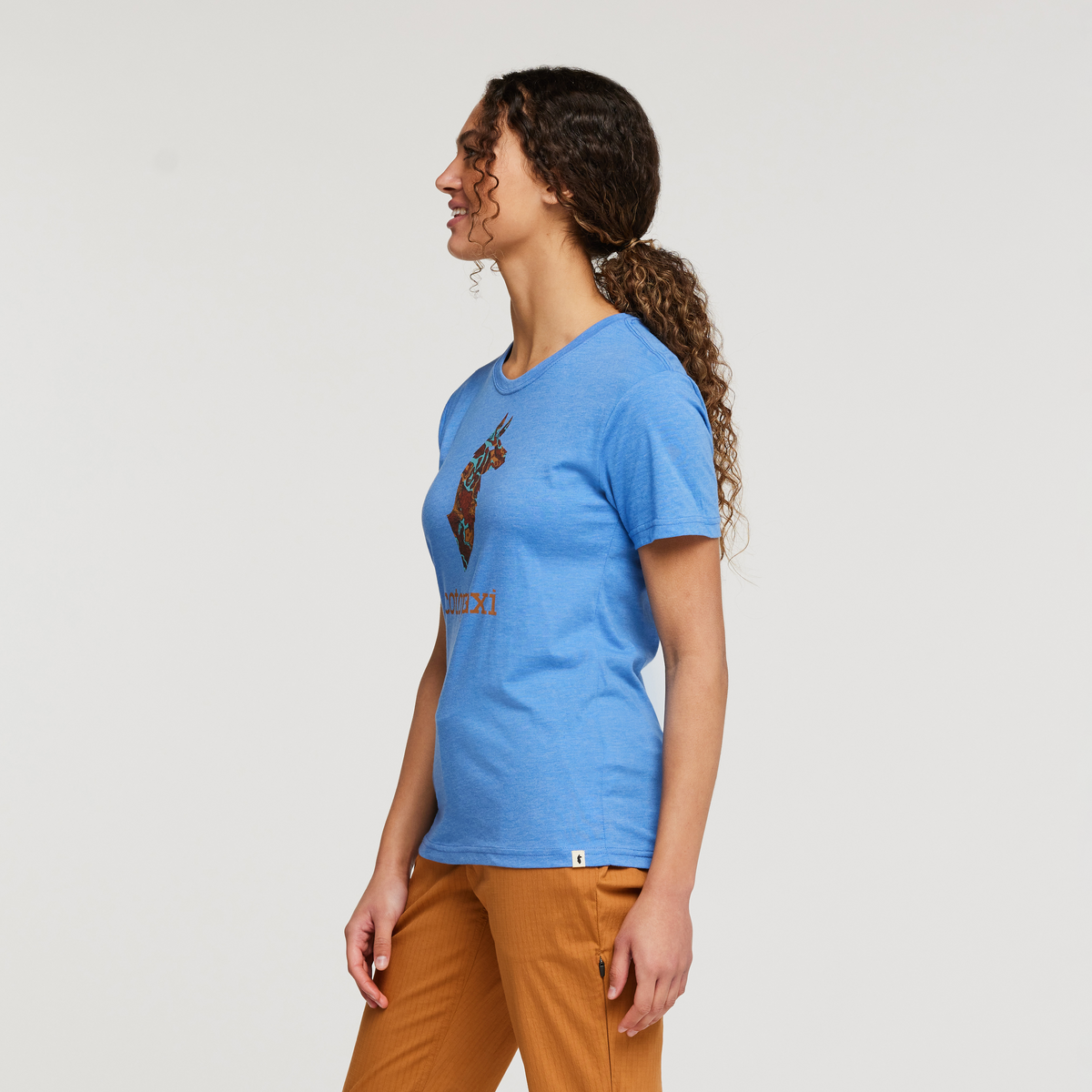 Altitude Llama Organic T-Shirt - Women's, Lupine, Model London
