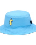 Blue Sky