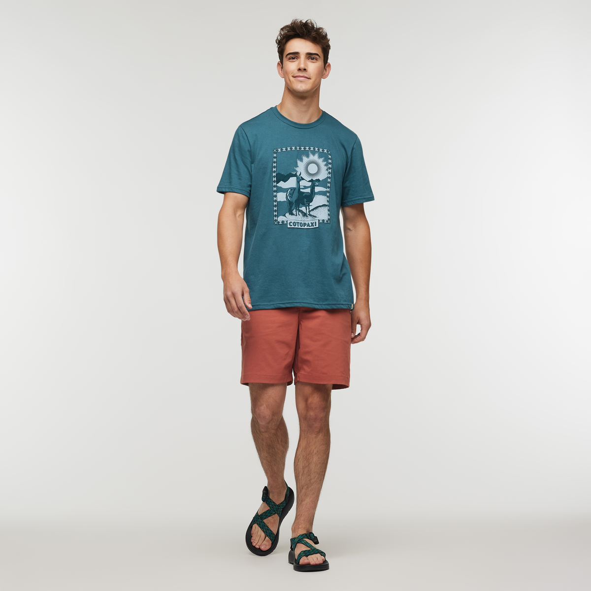 Llama Greetings T-Shirt - Men's, Blue Spruce, Model Kellan