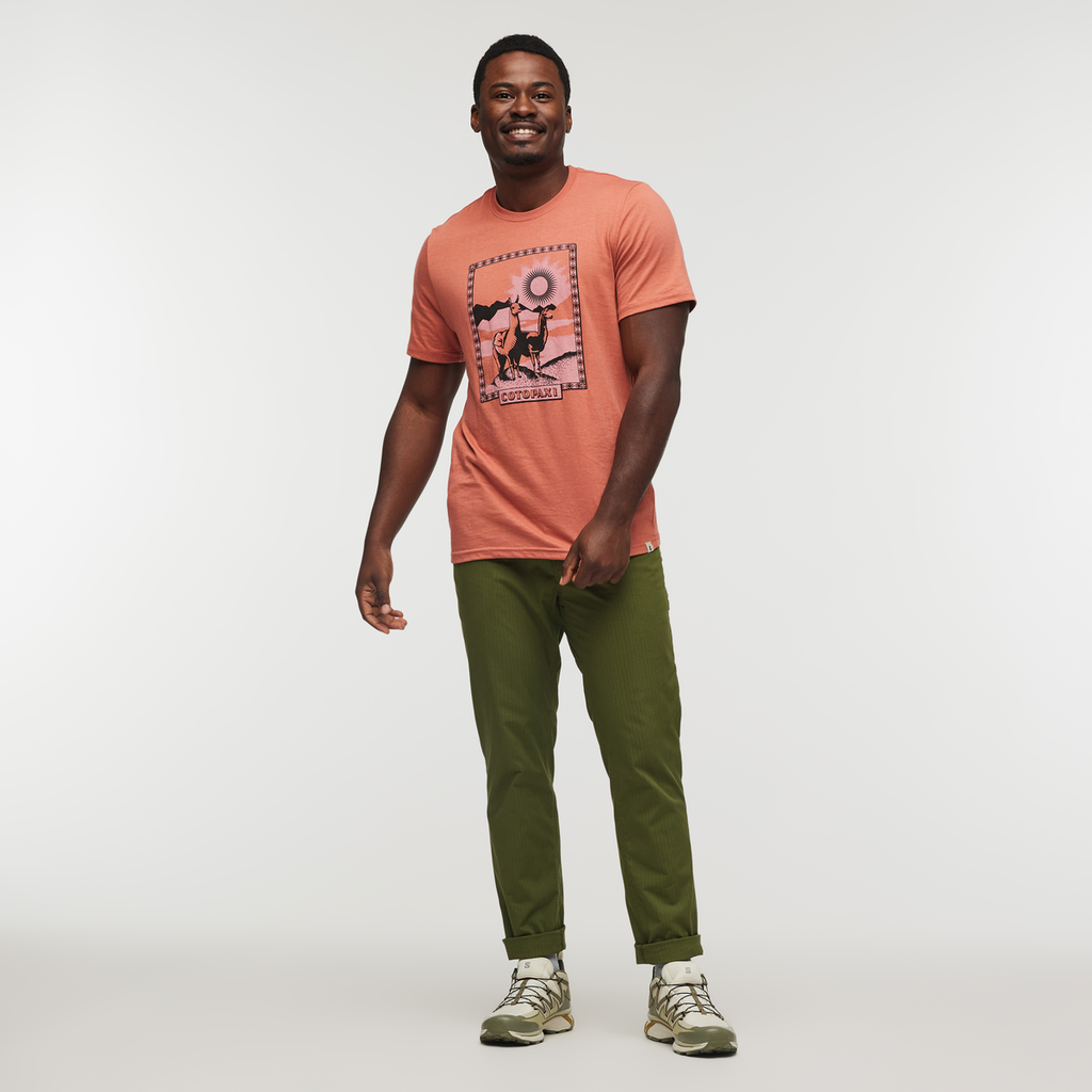 Llama Greetings T-Shirt - Men's, Faded Brick, Model Jeremy