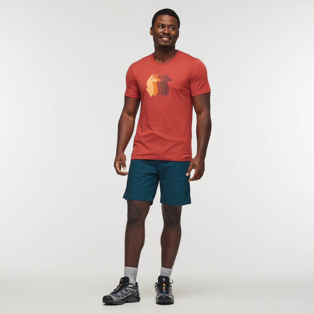 Llama Sequence T-Shirt - Men's, Magma, Model Jeremy
