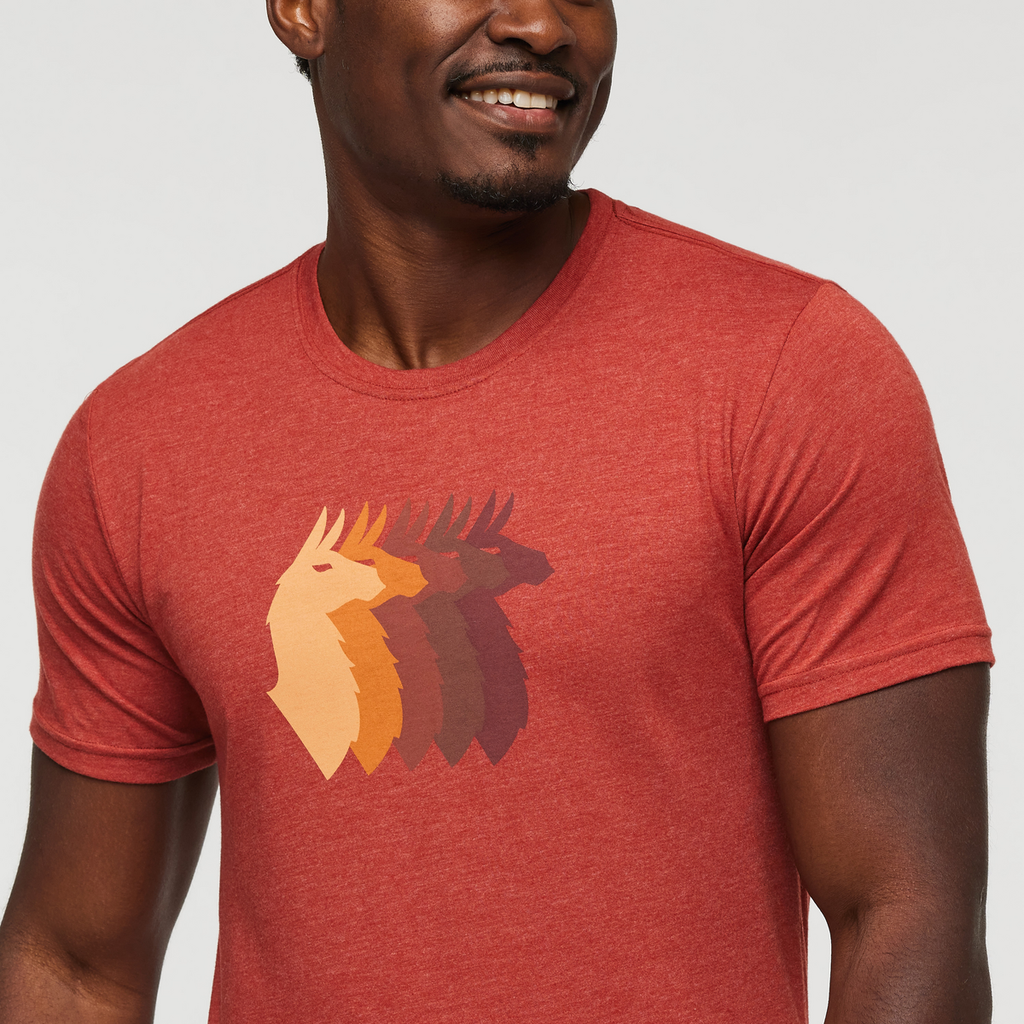 Llama Sequence T-Shirt - Men's, Magma, Model Jeremy