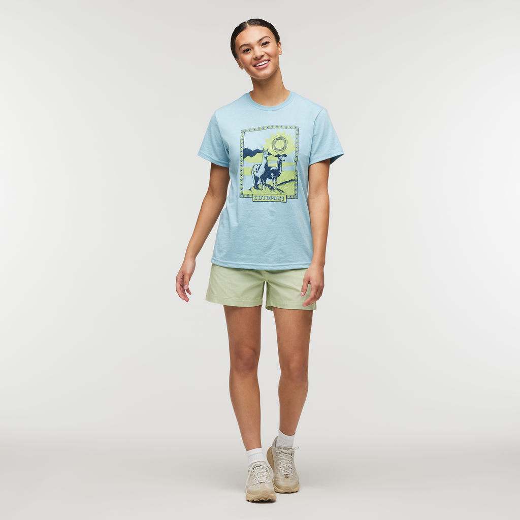 Llama Greetings T-Shirt - Women's, Sea Spray, Model London