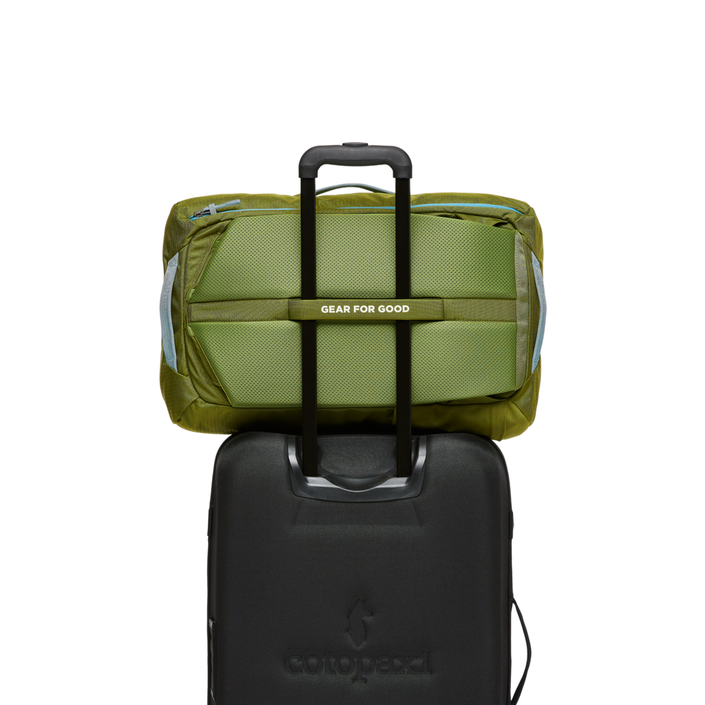 Allpa 35L Travel Pack, Lemongrass/Cedar