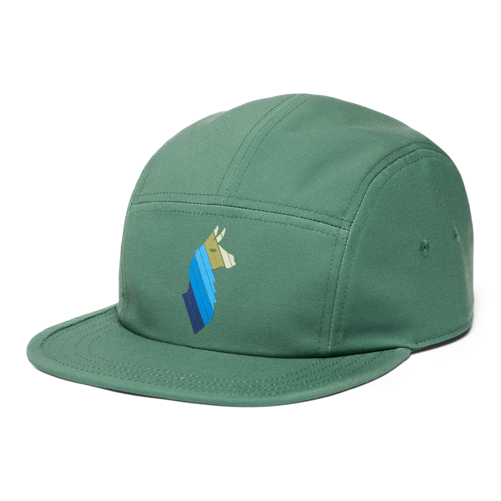 Llama Stripes 5-Panel Hat, Vine