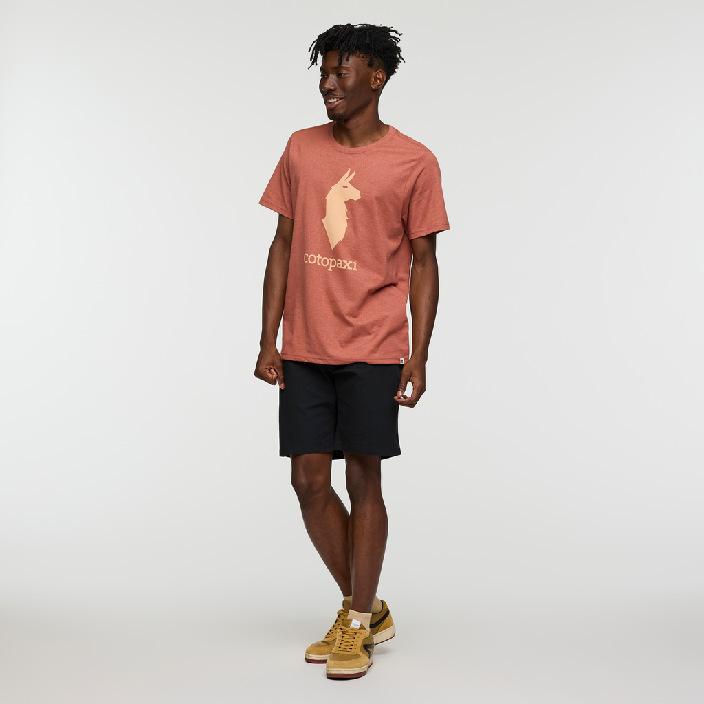 Cotopaxi Llama T-Shirt - Men's, Faded Brick, Model Nicolas