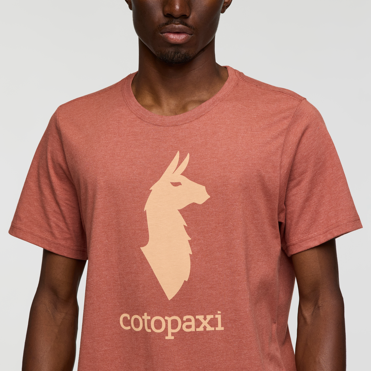 Cotopaxi Llama T-Shirt - Men's, Faded Brick, Model Nicolas