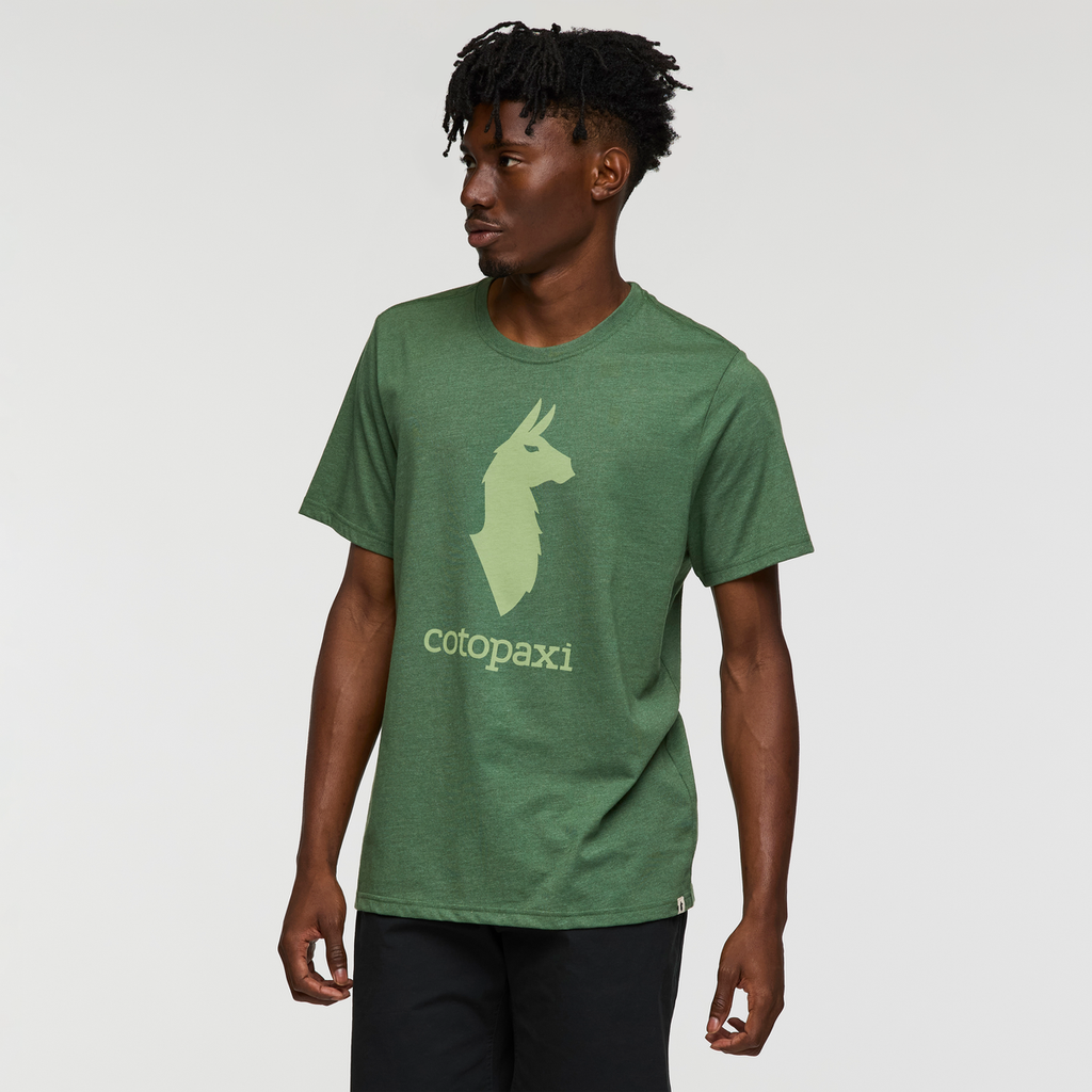 Cotopaxi Llama T-Shirt - Men's, Vine, Model Nicolas