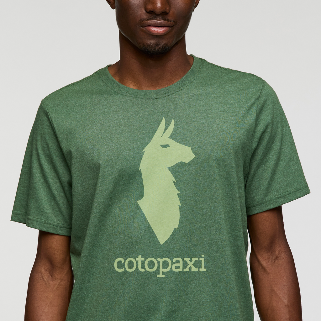 Cotopaxi Llama T-Shirt - Men's, Vine, Model Nicolas