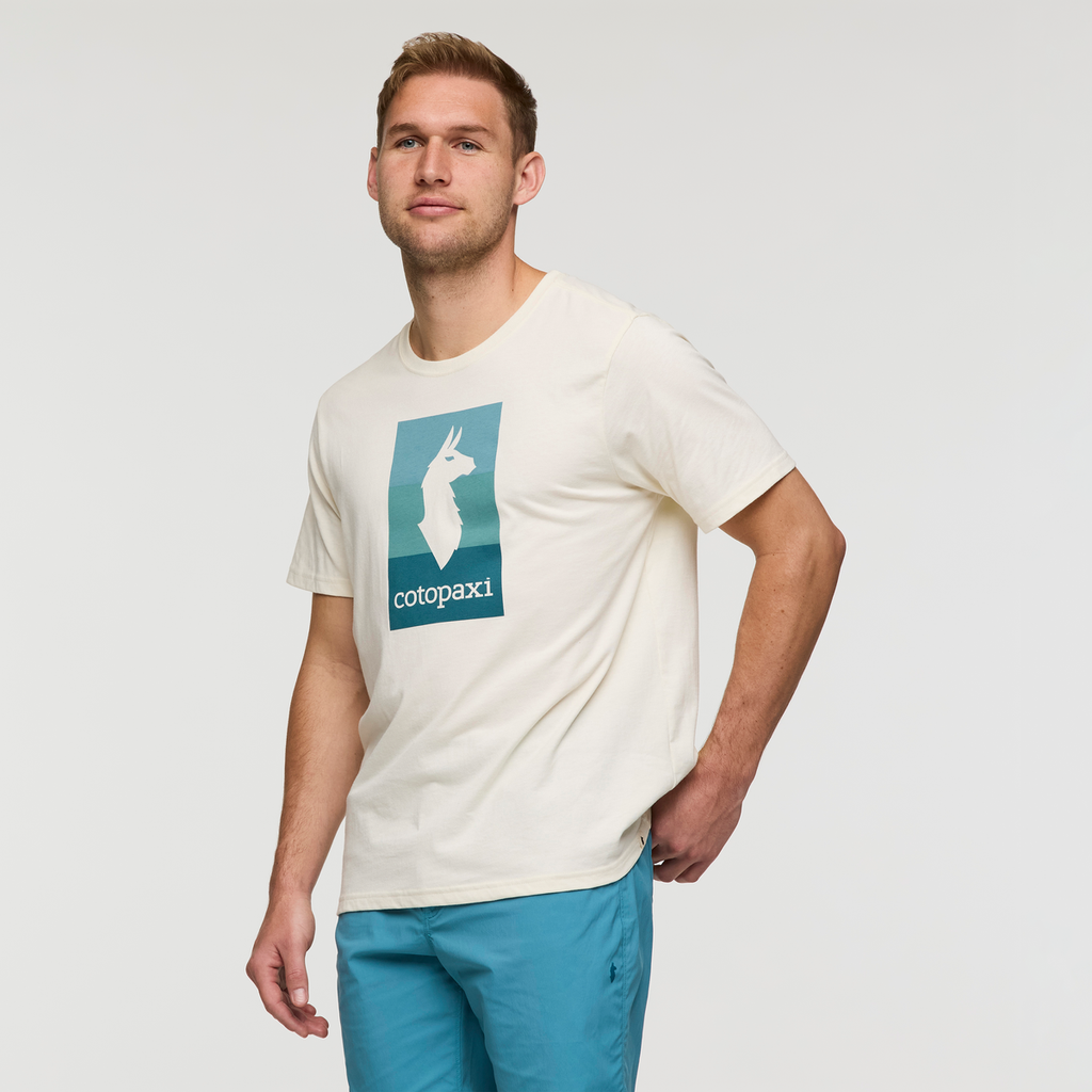 Llama Block T-Shirt - Men's, Bone, Model Maxwell