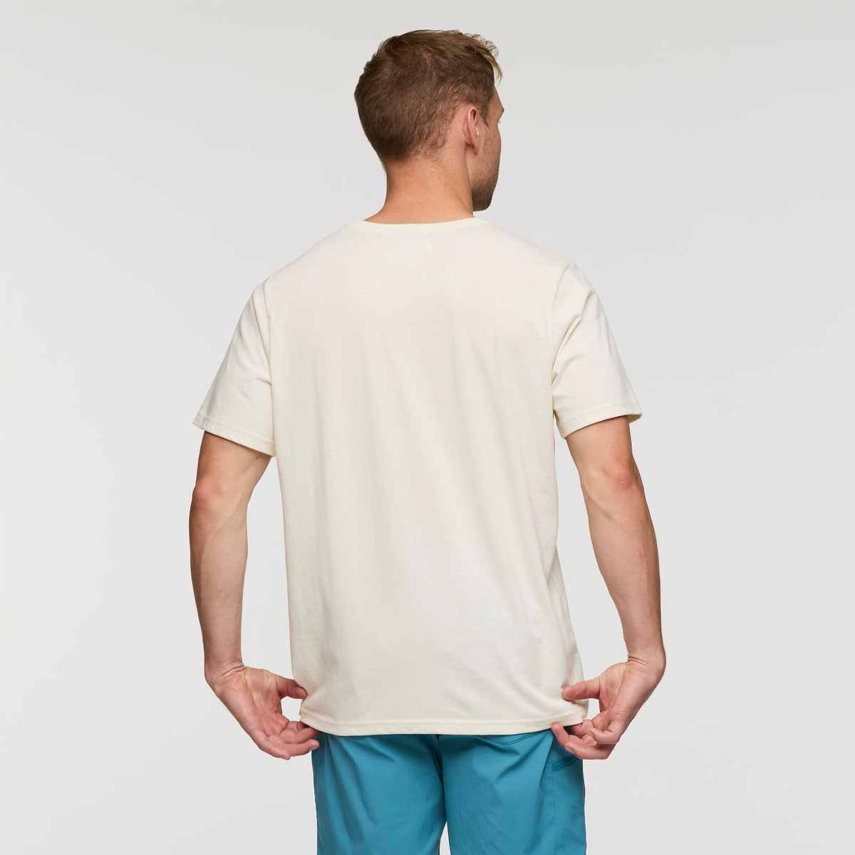 Llama Block T-Shirt - Men's, Bone, Model Maxwell
