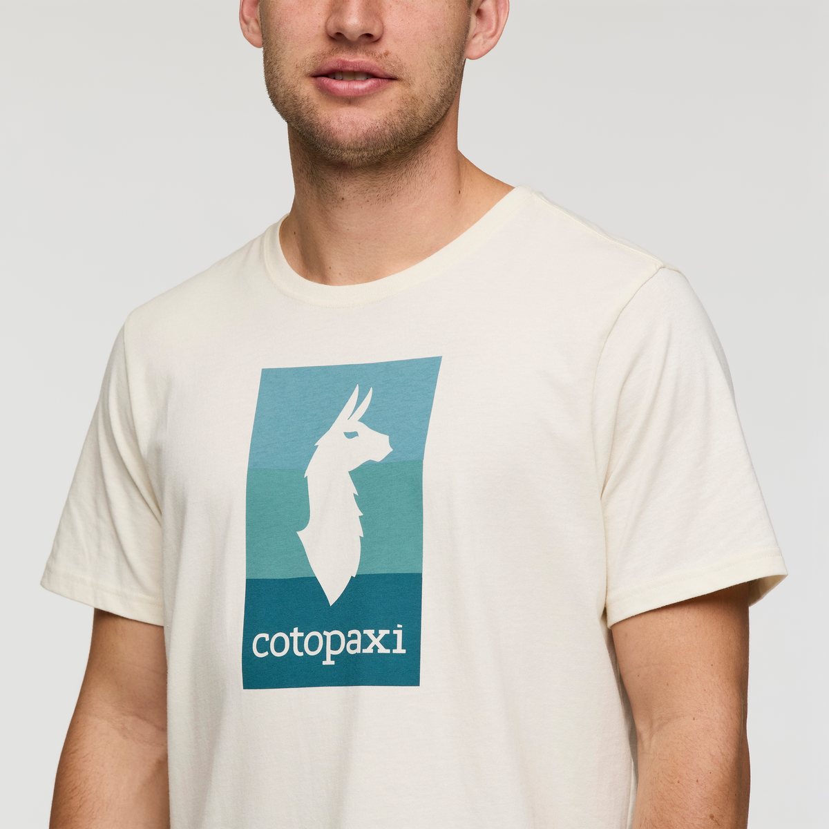 Llama Block T-Shirt - Men's, Bone, Model Maxwell