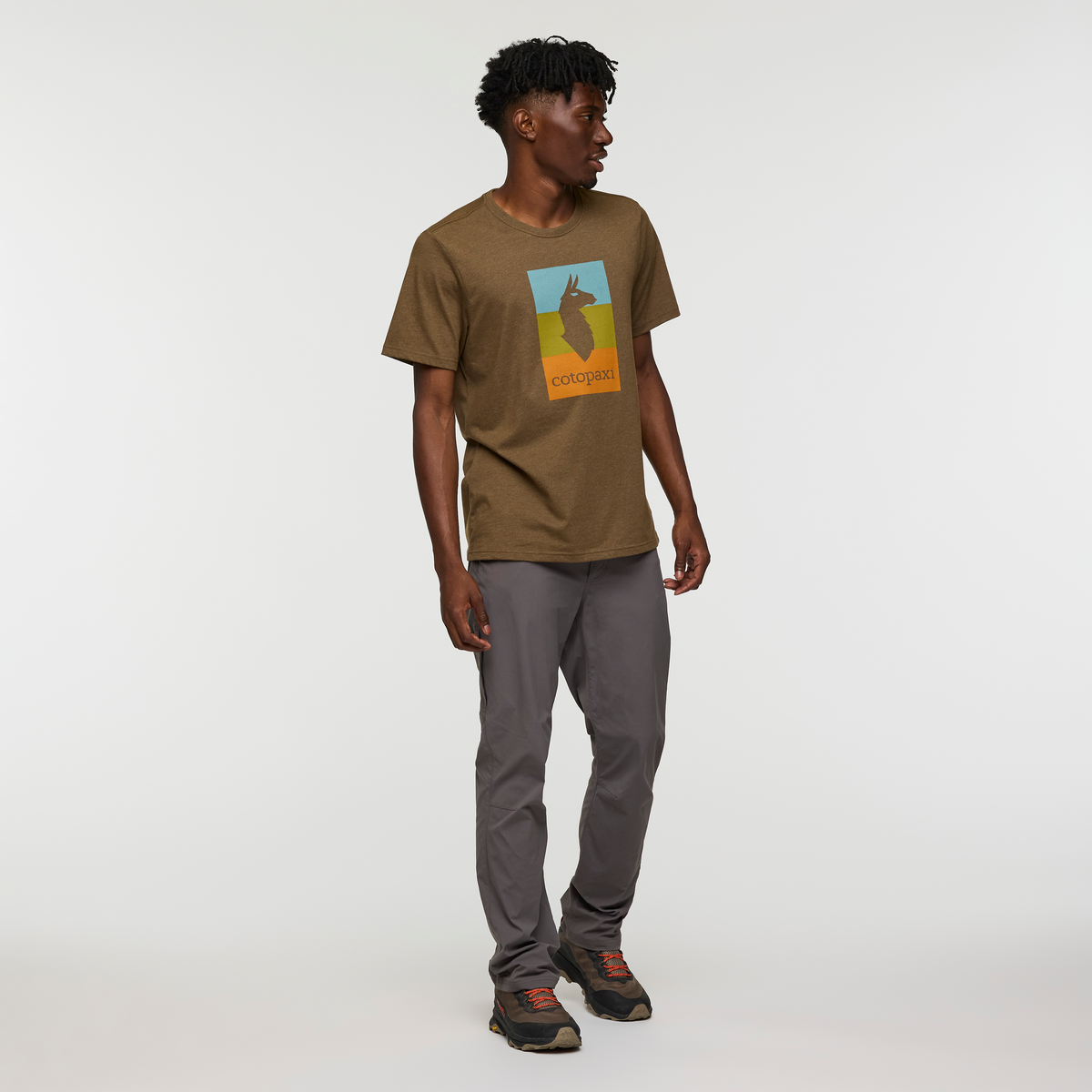 Llama Block T-Shirt - Men's, Live Oak, Model Nicolas