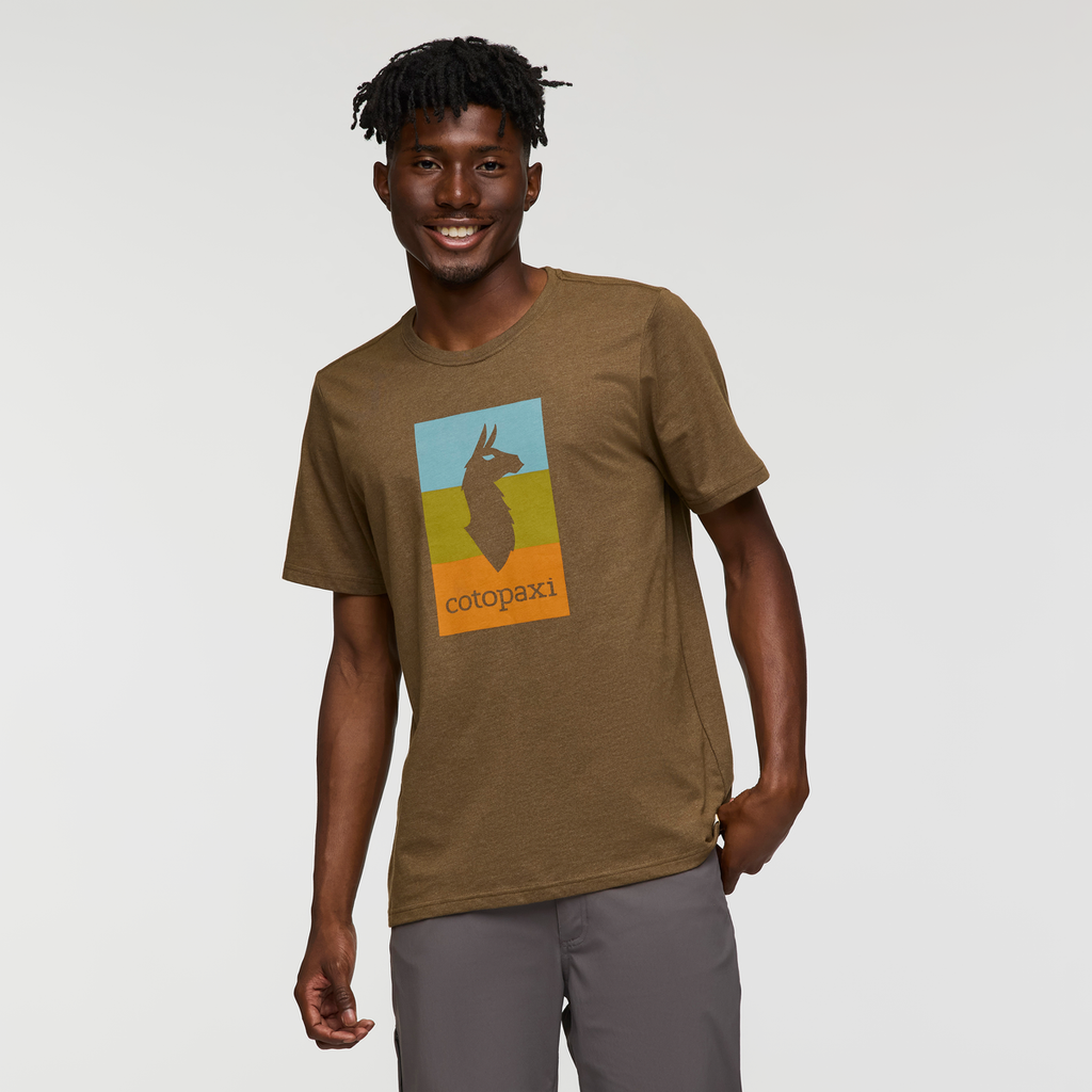 Llama Block T-Shirt - Men's, Live Oak, Model Nicolas