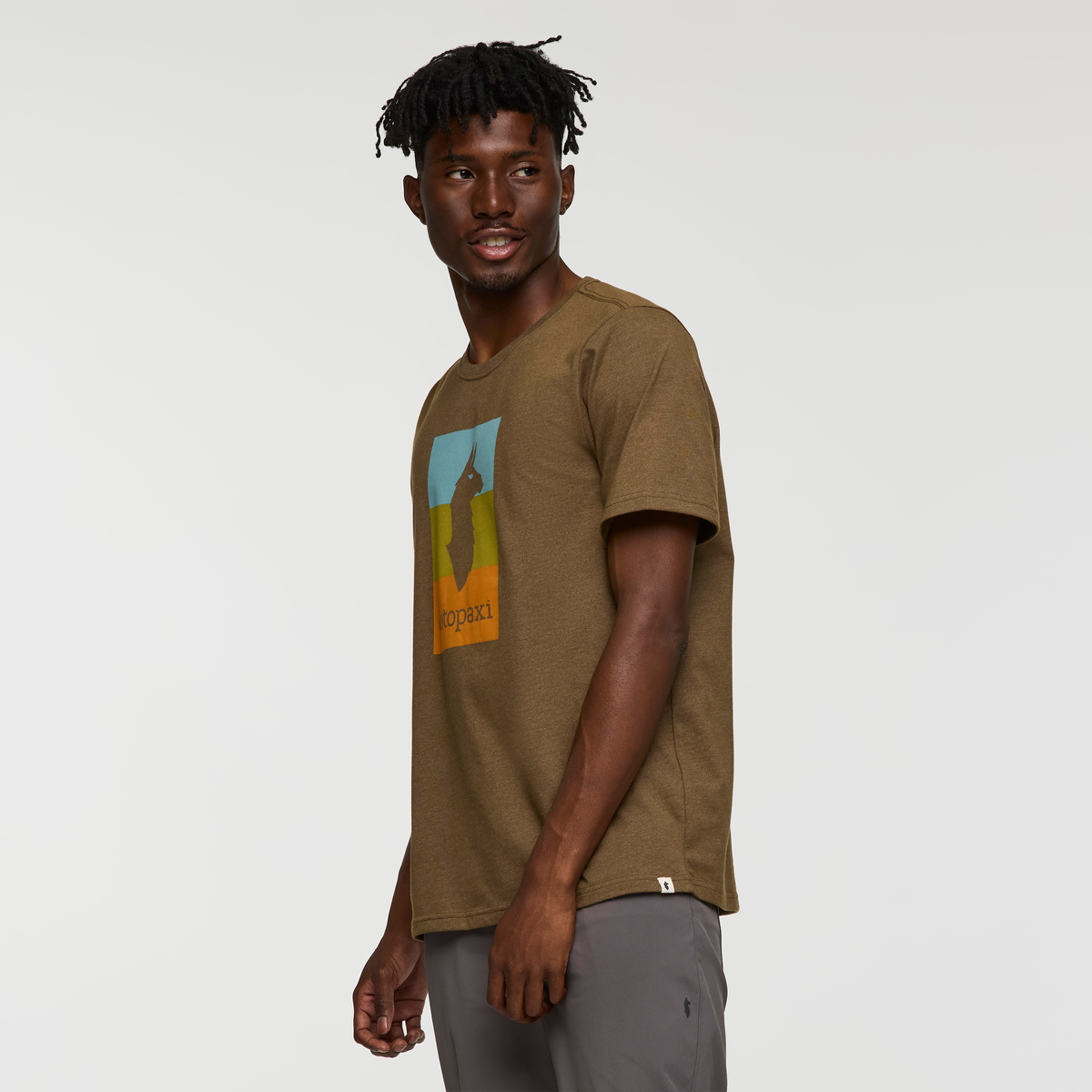 Llama Block T-Shirt - Men's, Live Oak, Model Nicolas