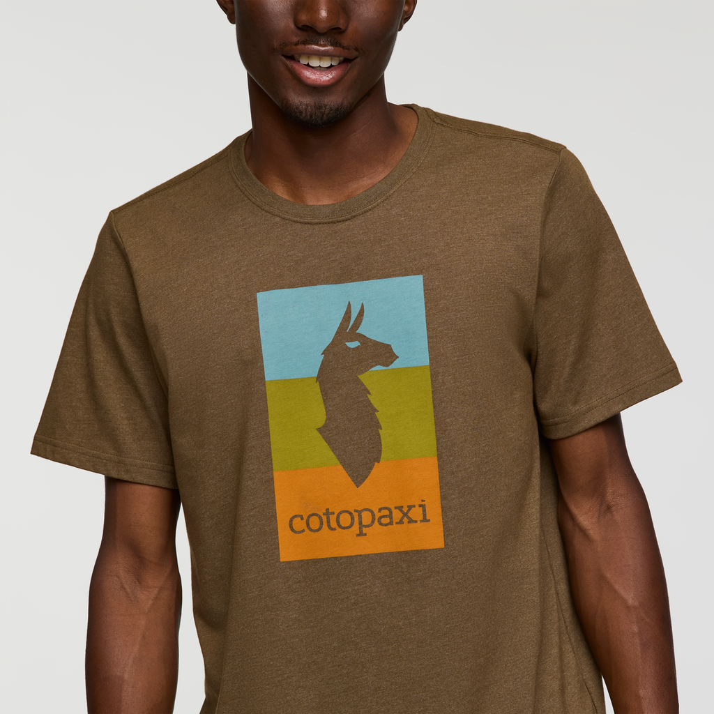 Llama Block T-Shirt - Men's, Live Oak, Model Nicolas