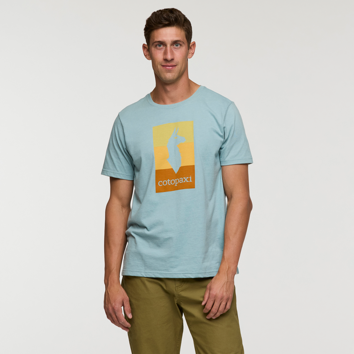 Llama Block T-Shirt - Men's, Sea Spray, Model Jackson