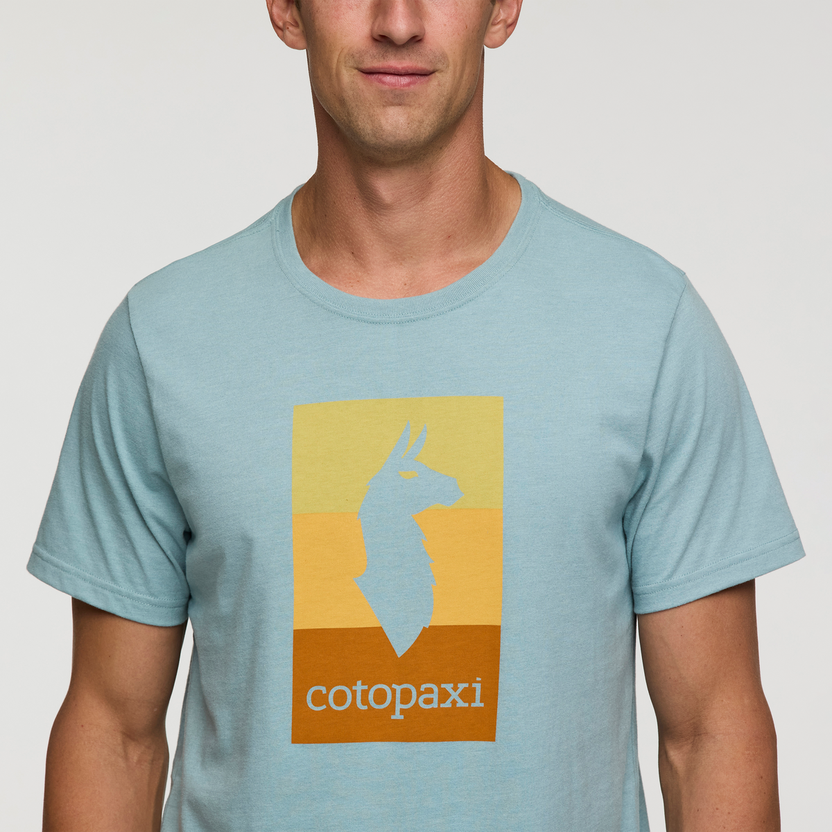 Llama Block T-Shirt - Men's, Sea Spray, Model Jackson
