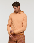 Apricot