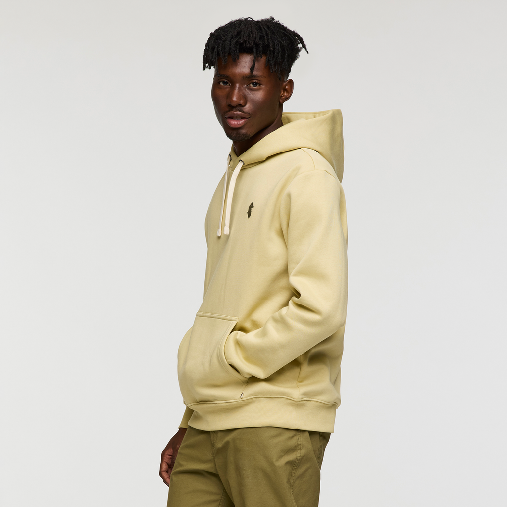 Up and Up Pullover Hoodie - Men's, Grain, Model Nicolas
