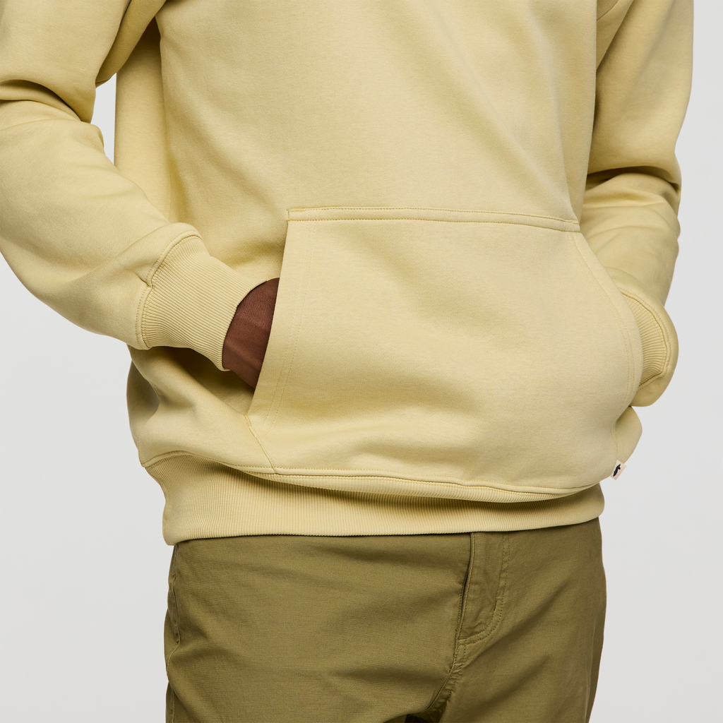 Up and Up Pullover Hoodie - Men's, Grain, Model Nicolas
