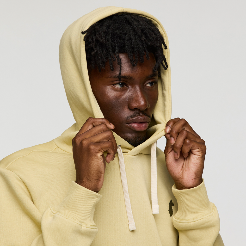 Up and Up Pullover Hoodie - Men's, Grain, Model Nicolas