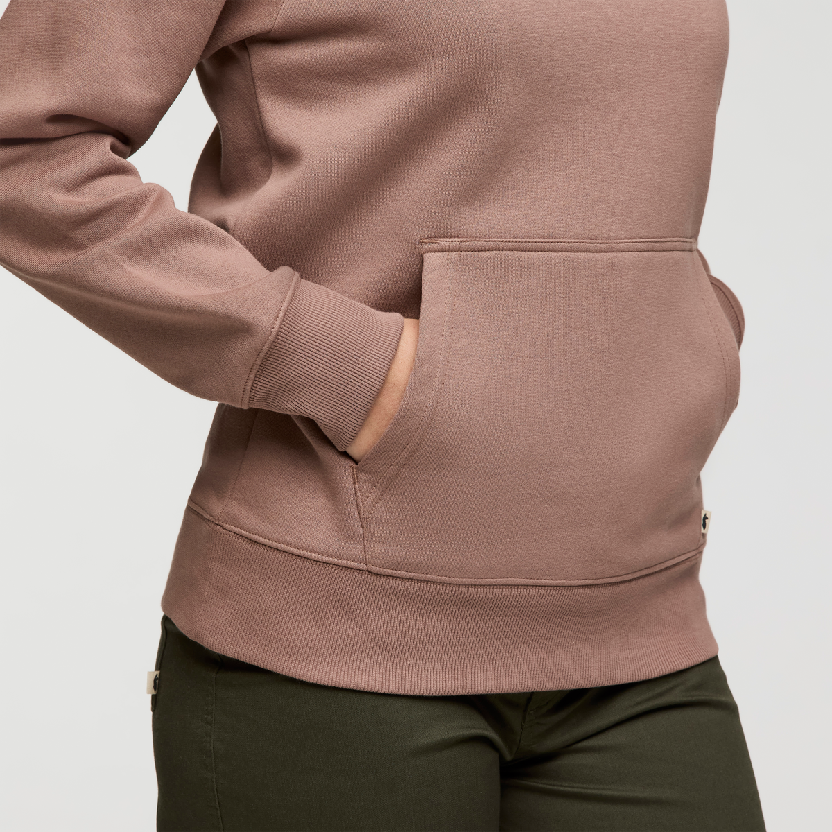 Llama Patch Pullover Hoodie - Women's, Reishi, Model Caitlyn