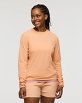 Apricot