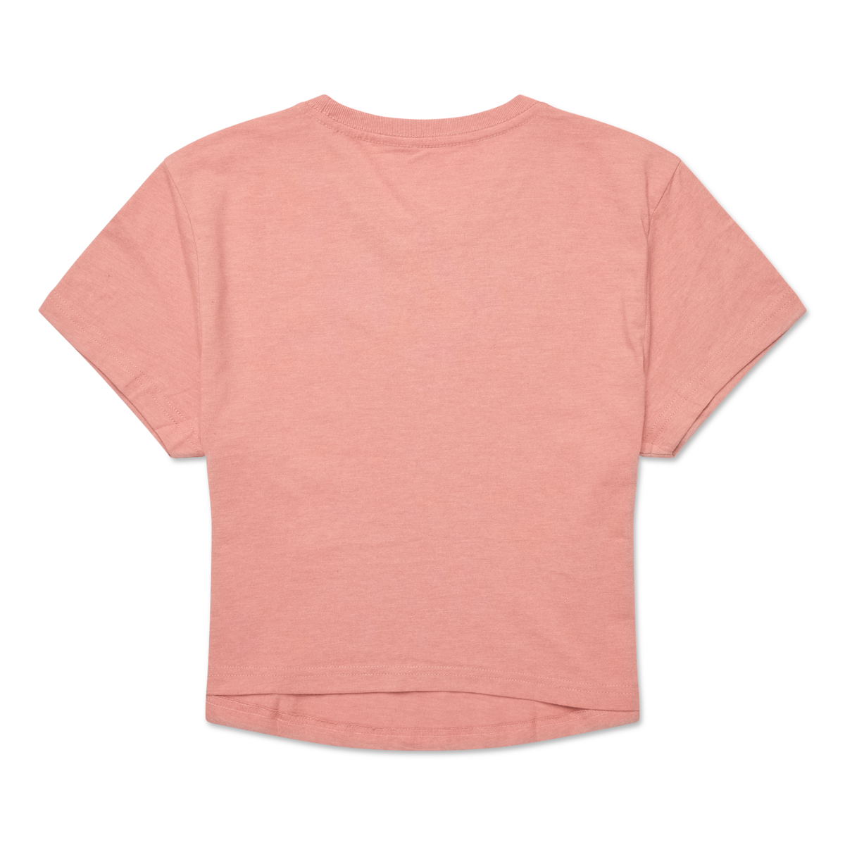 Tiny Llama Crop T-Shirt - Women's, Clay