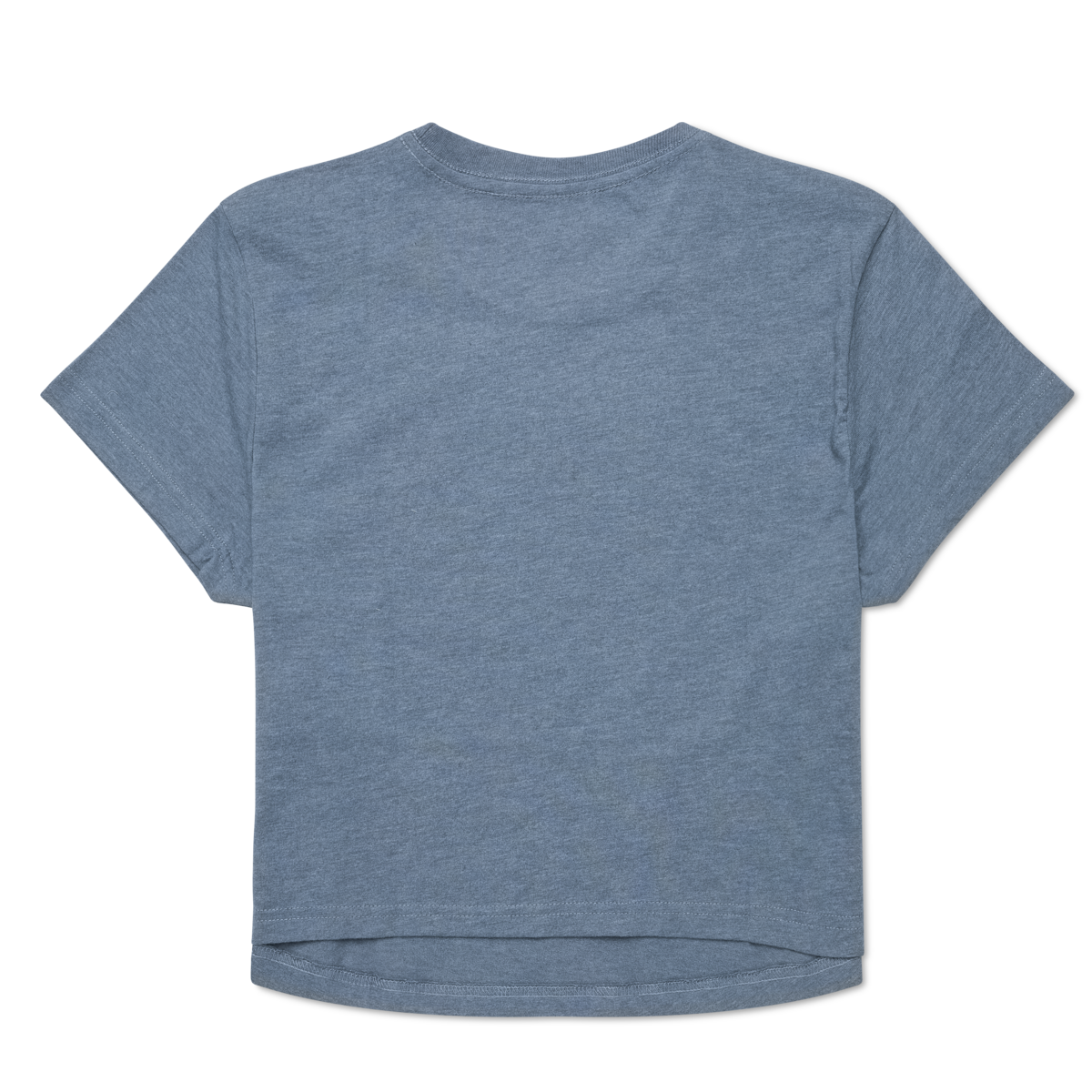 Tiny Llama Crop T-Shirt - Women's, Tempest