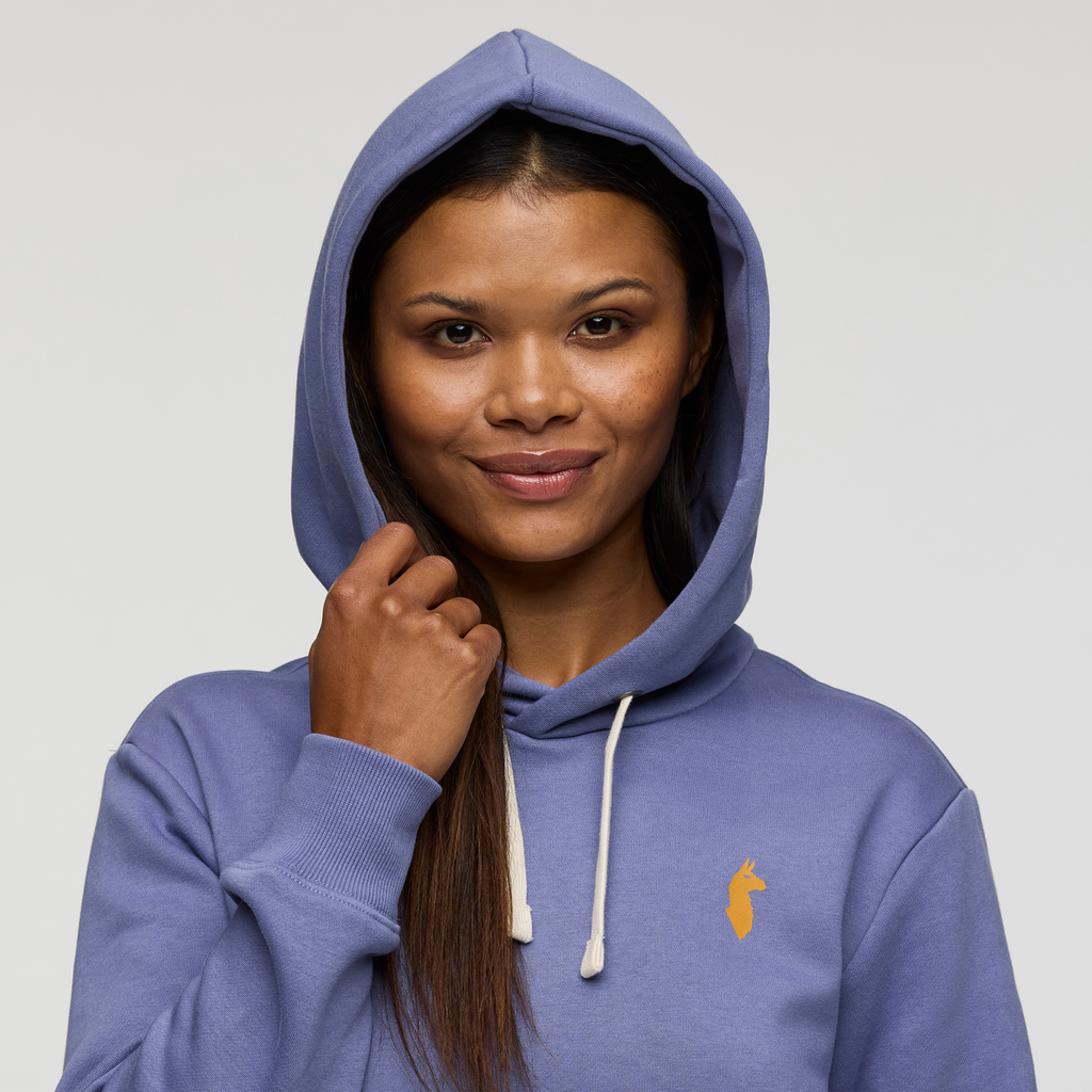 Up and Up Pullover Hoodie - Women's, Blue Smoke, Model Jade