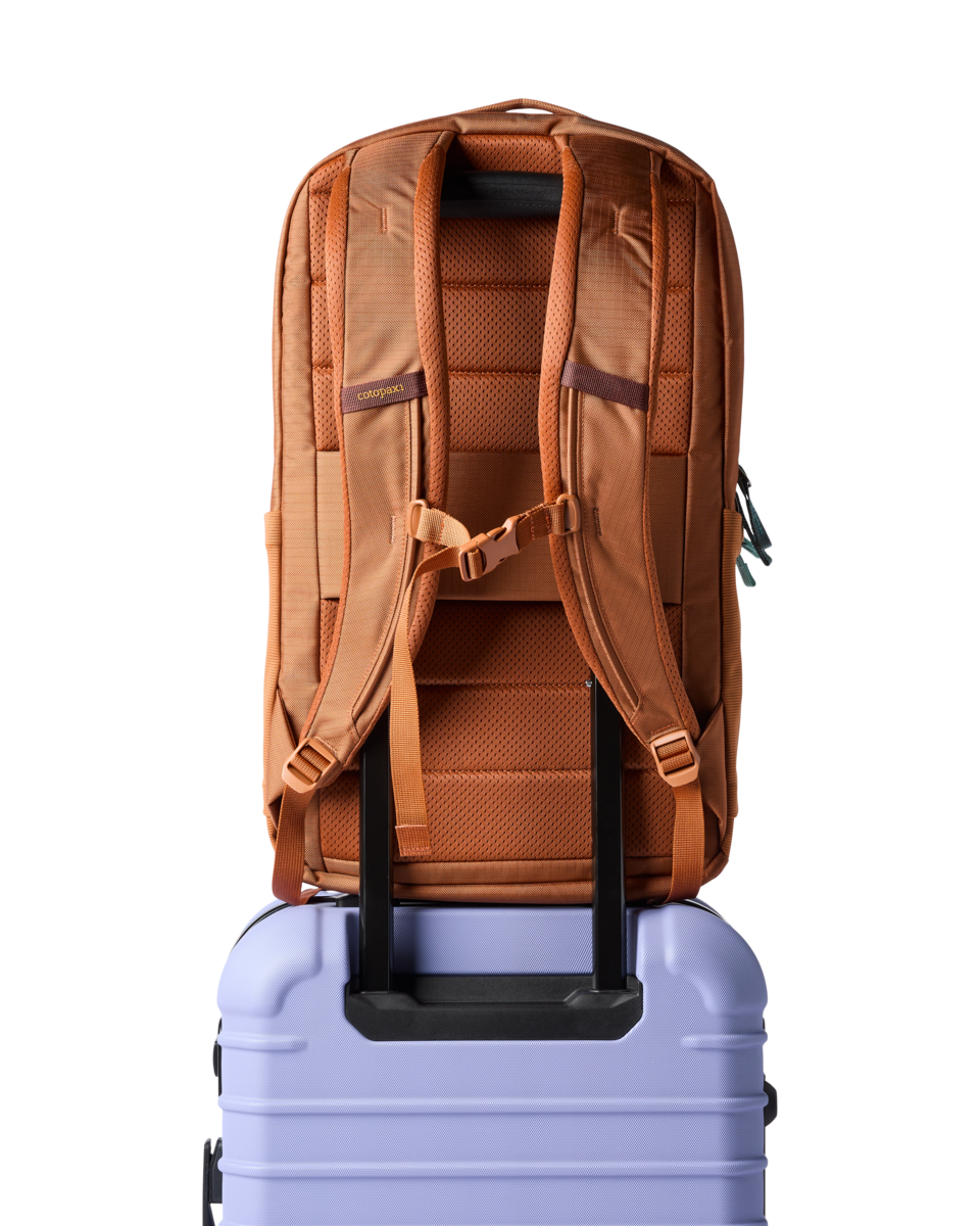 Allpa 26L Daypack, Whiskey