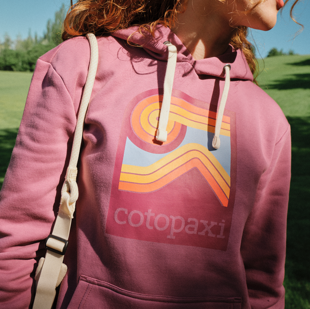 Lookout Point Pullover Hoodie - Women's, Fig