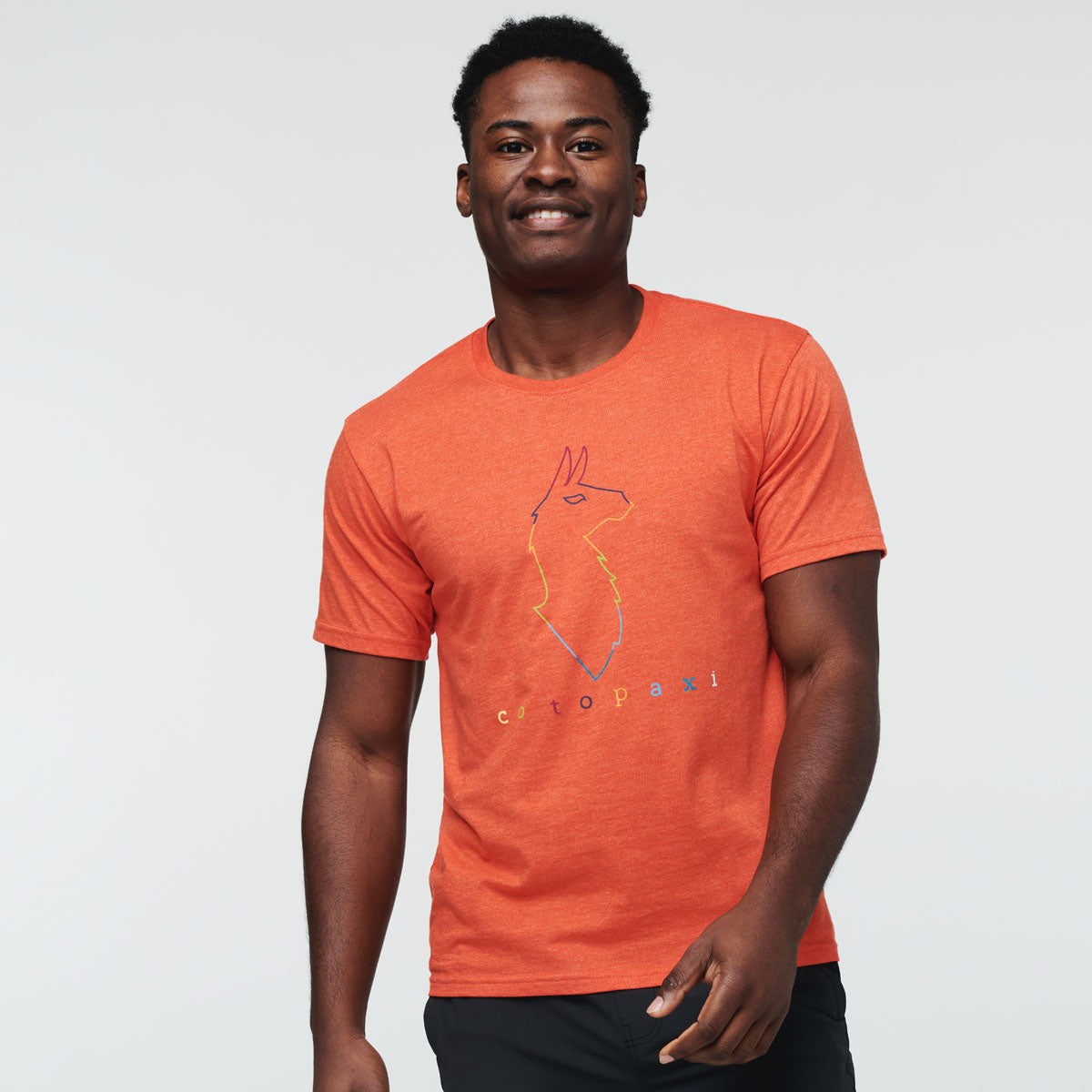 Electric Llama T-Shirt - Men's, Canyon