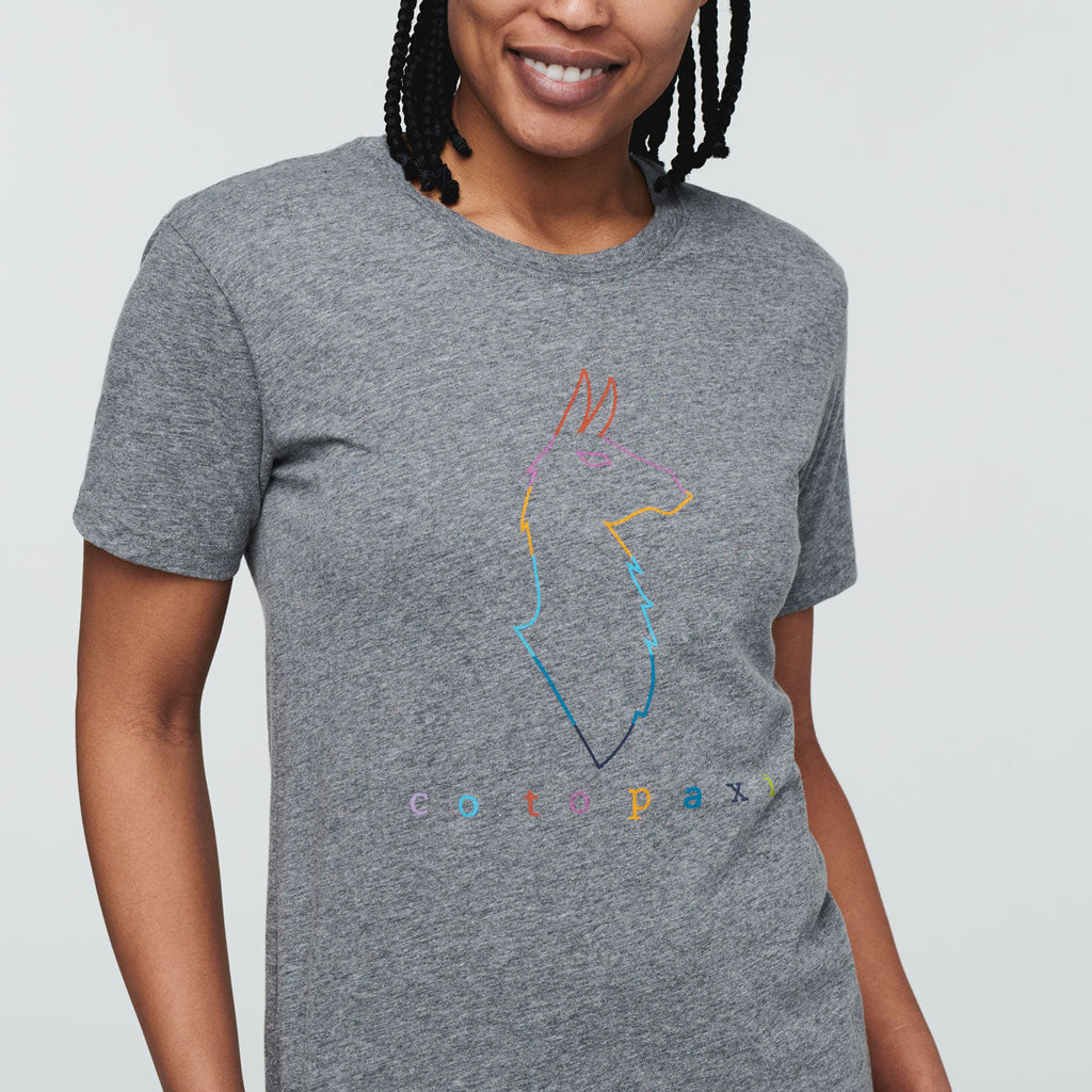 Electric Llama T-Shirt - Women's, Heather Grey