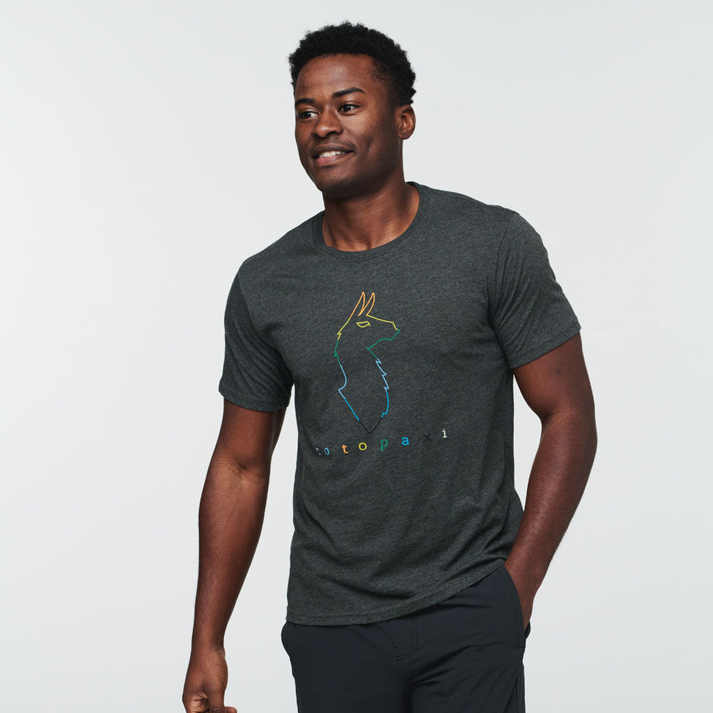 Electric Llama T-Shirt - Men's, Iron