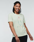 Lichen